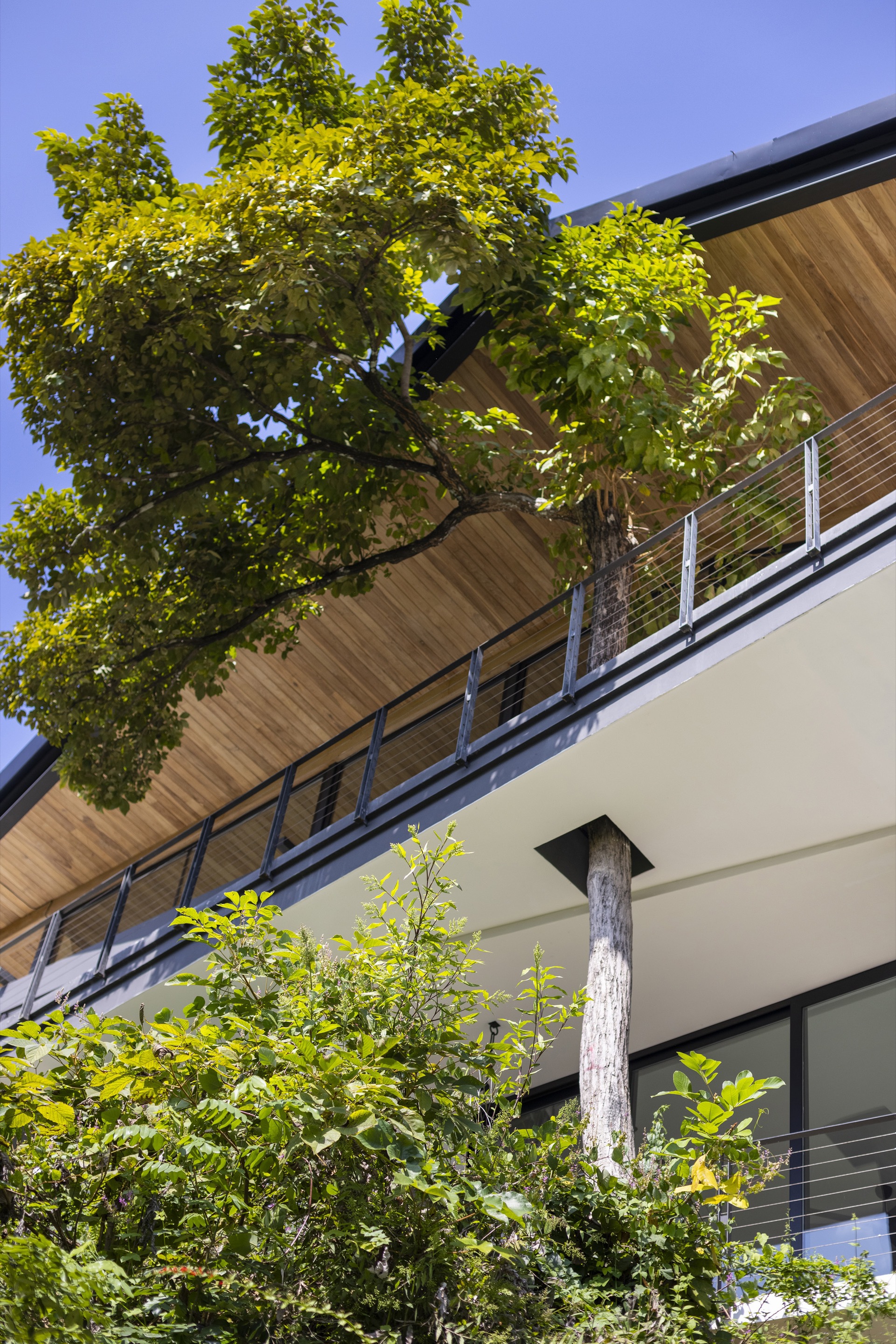 马凯别墅丨哥斯达黎加丨Studio Saxe-55