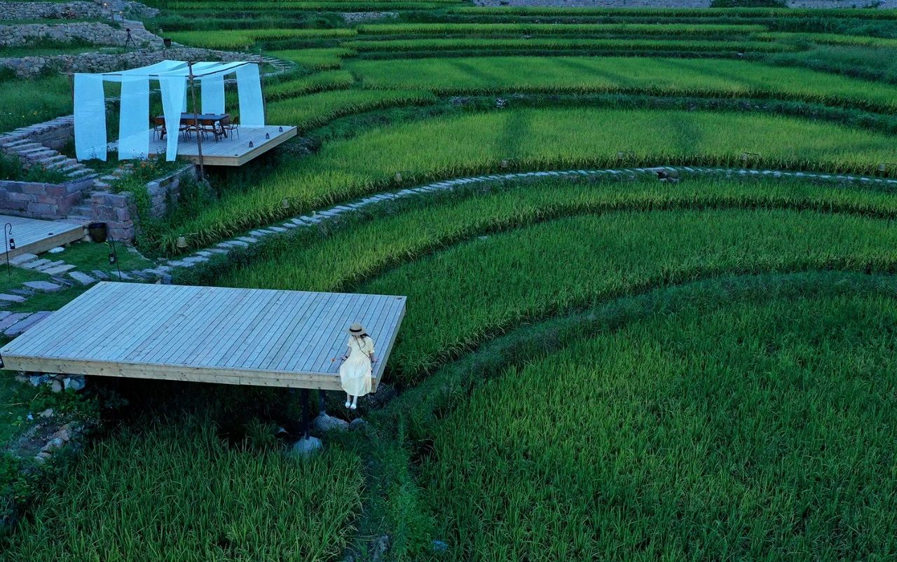 重庆飞茑集 | 睡入云端,尽享清凉山城田园生活-41
