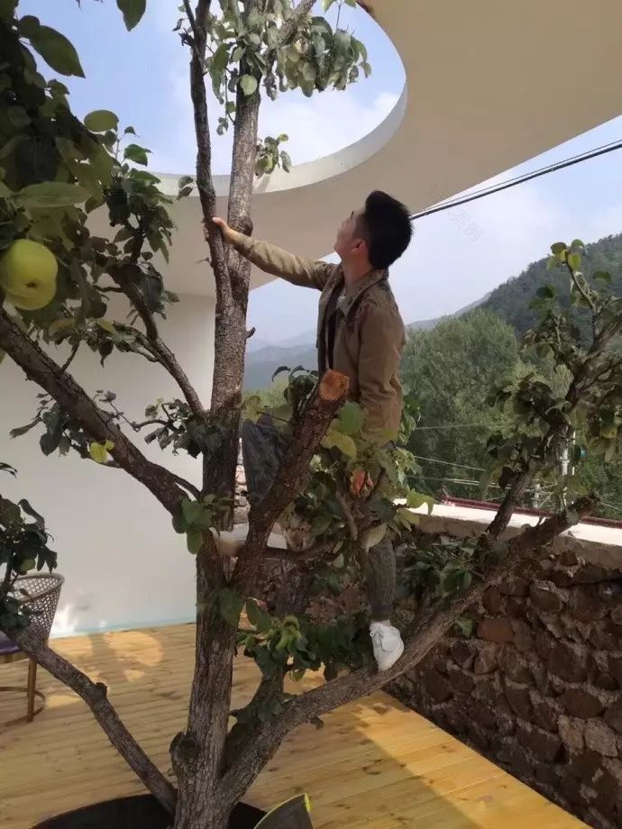 北京城外竟然有这样美如画的民宿,引明星乔杉来小住不说,日接待参访客人最高达到80多人-57