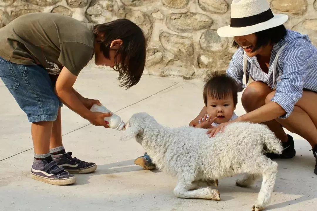 长城脚下世外桃源,德式乡村生活梦想成真-147