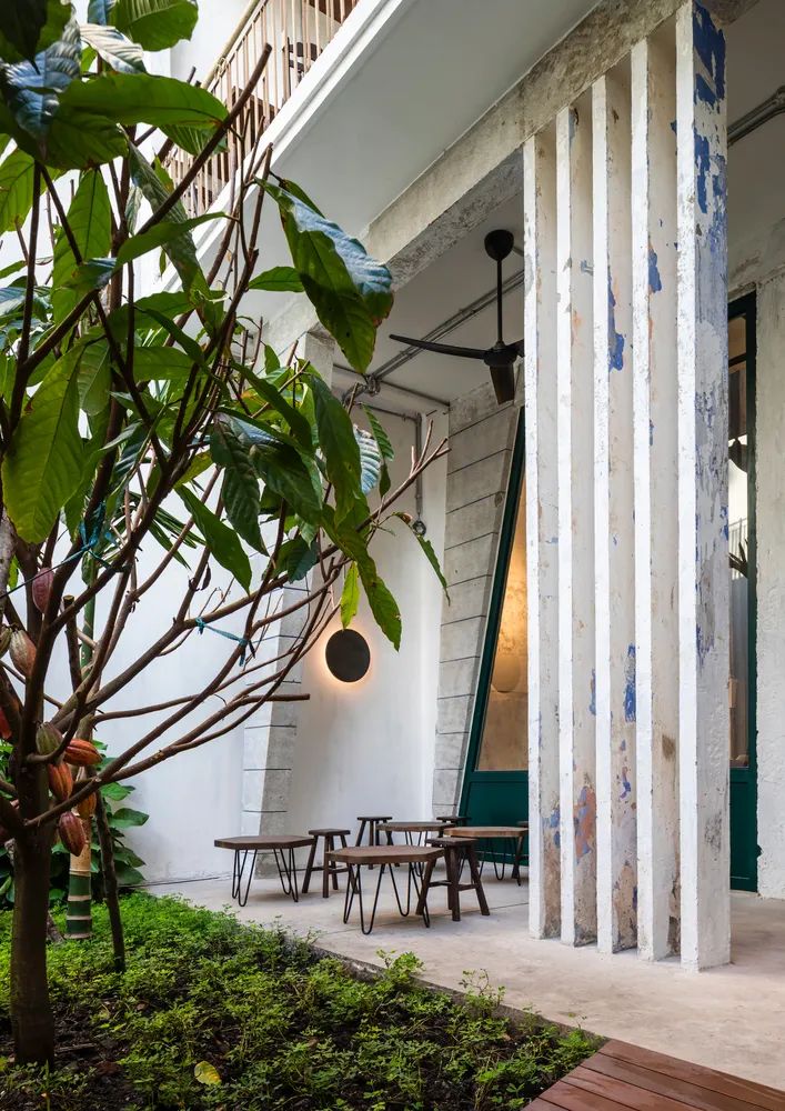 越南西贡可持续建筑咖啡店丨T3 Architects-31