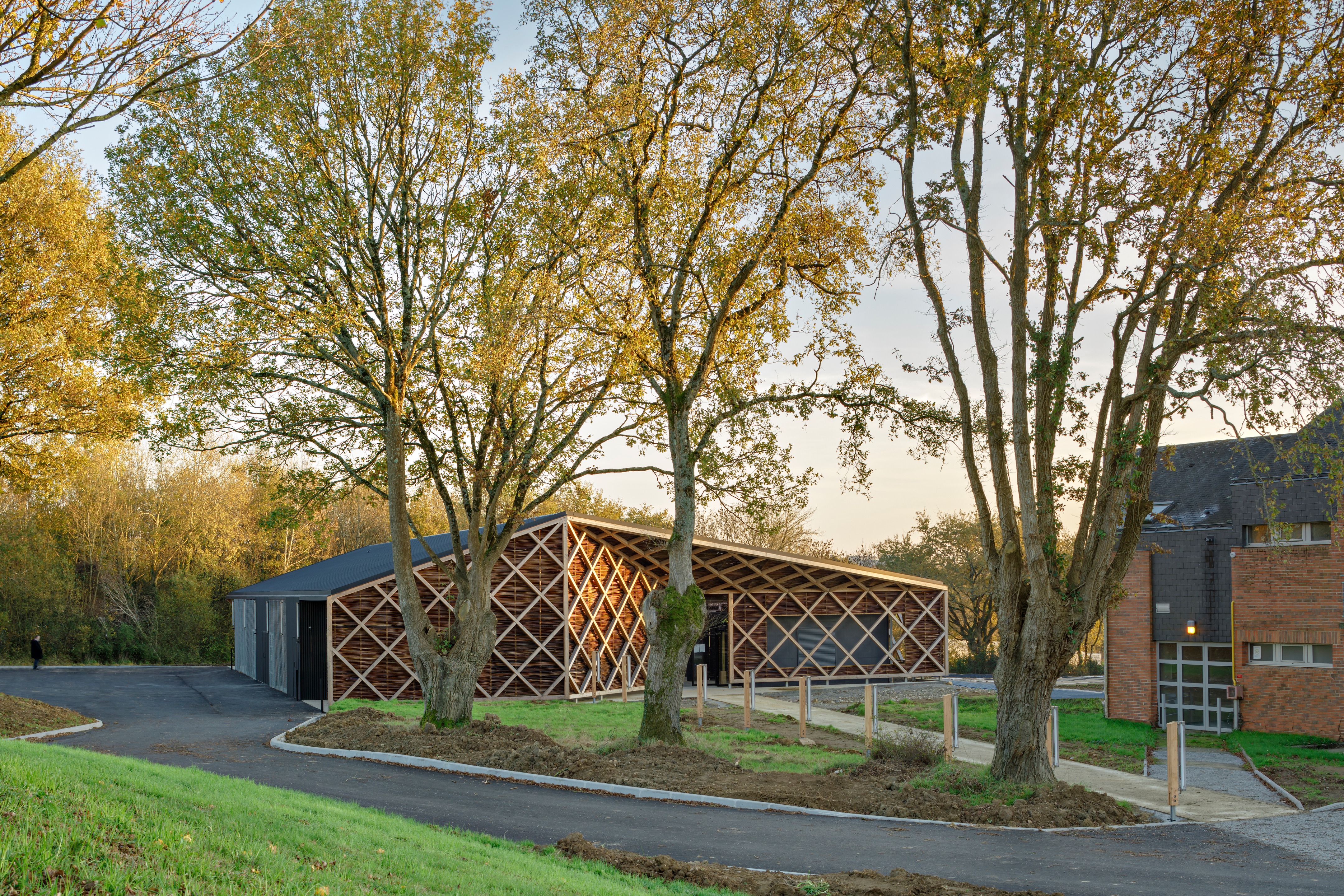 校园绿意 · 蔬菜加工车间与教学结合的设计-44