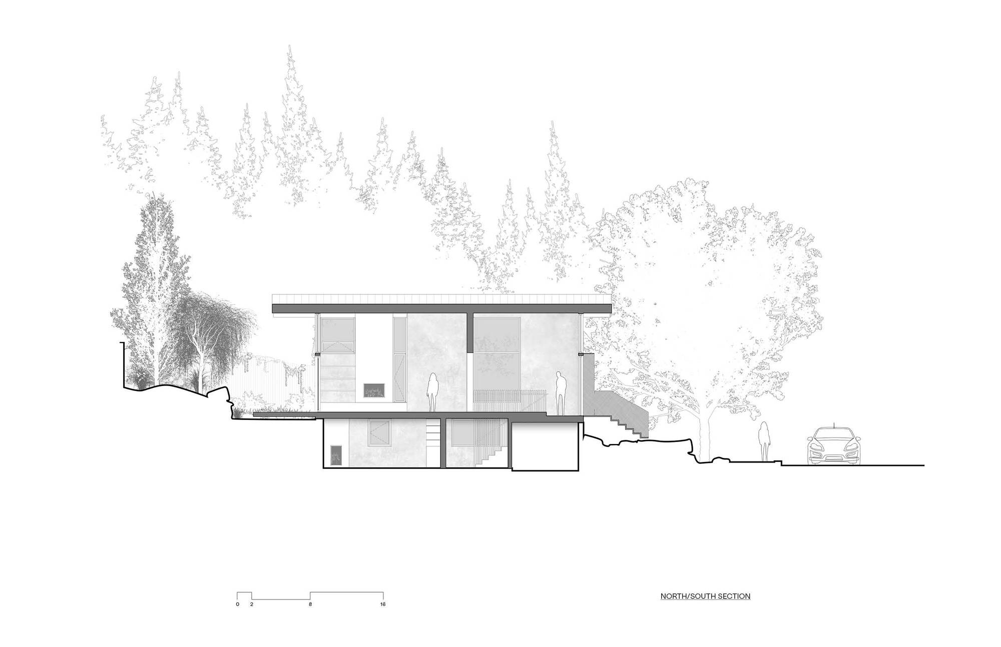 丨美国西雅图丨GO'C-19