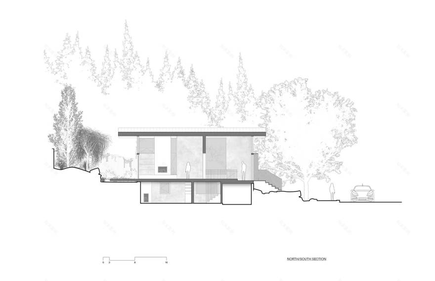 丨美国西雅图丨GO'C-19