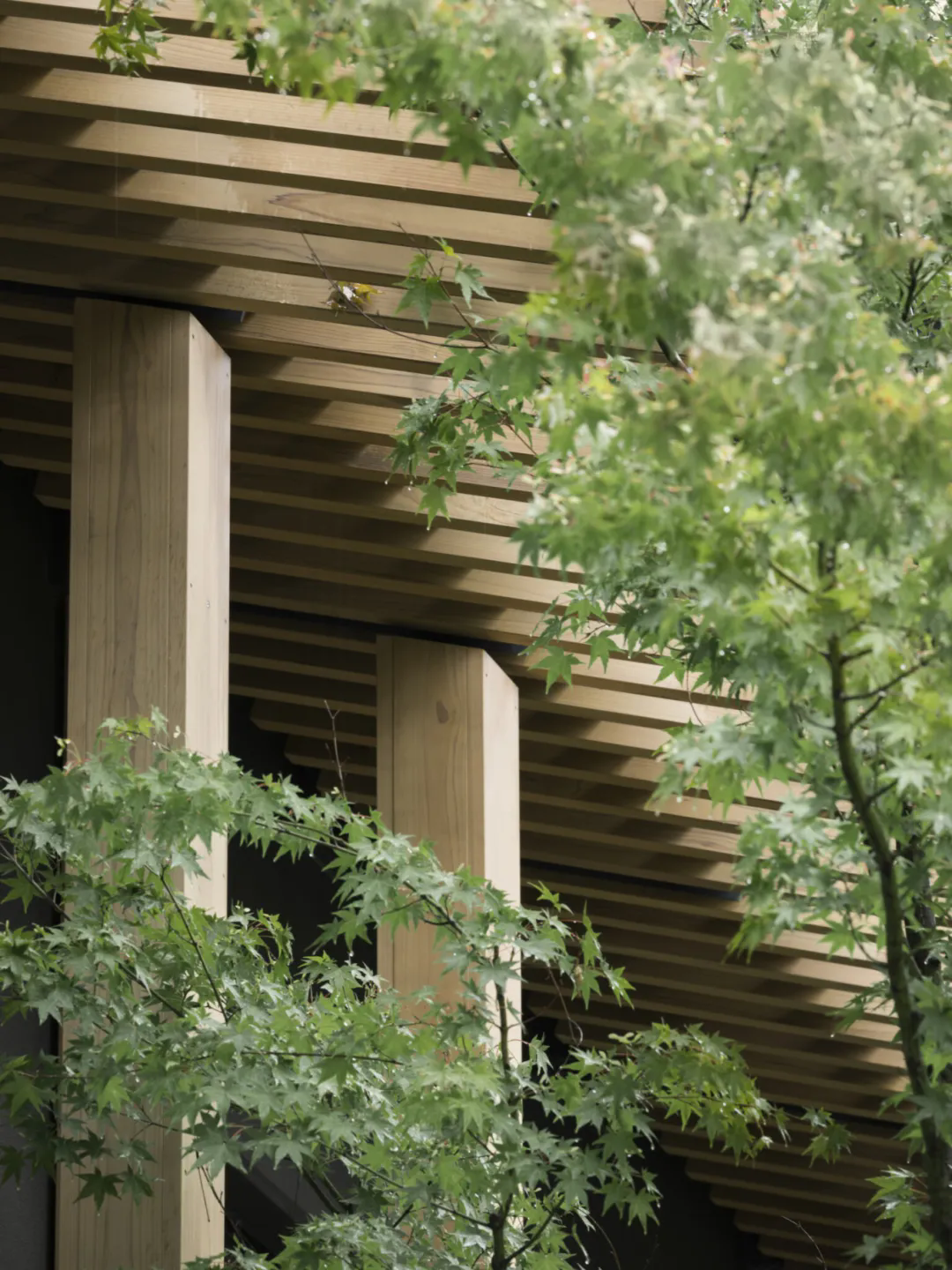 京都酒店丨日本京都丨隈研吾-49