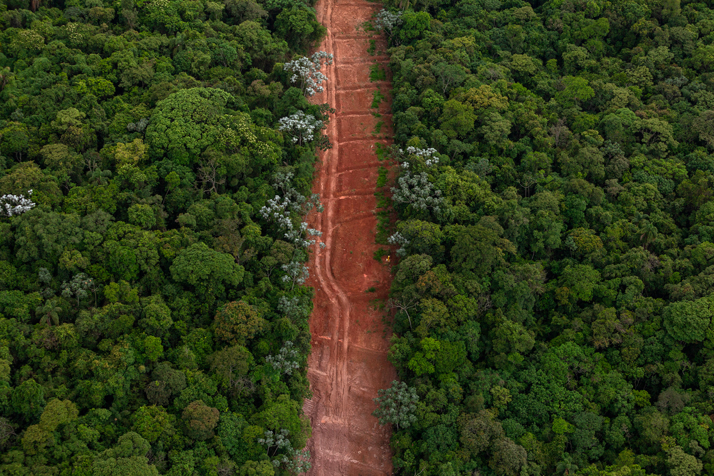 巴西空间利用调查 | 人间建构与自然景观的对话-1