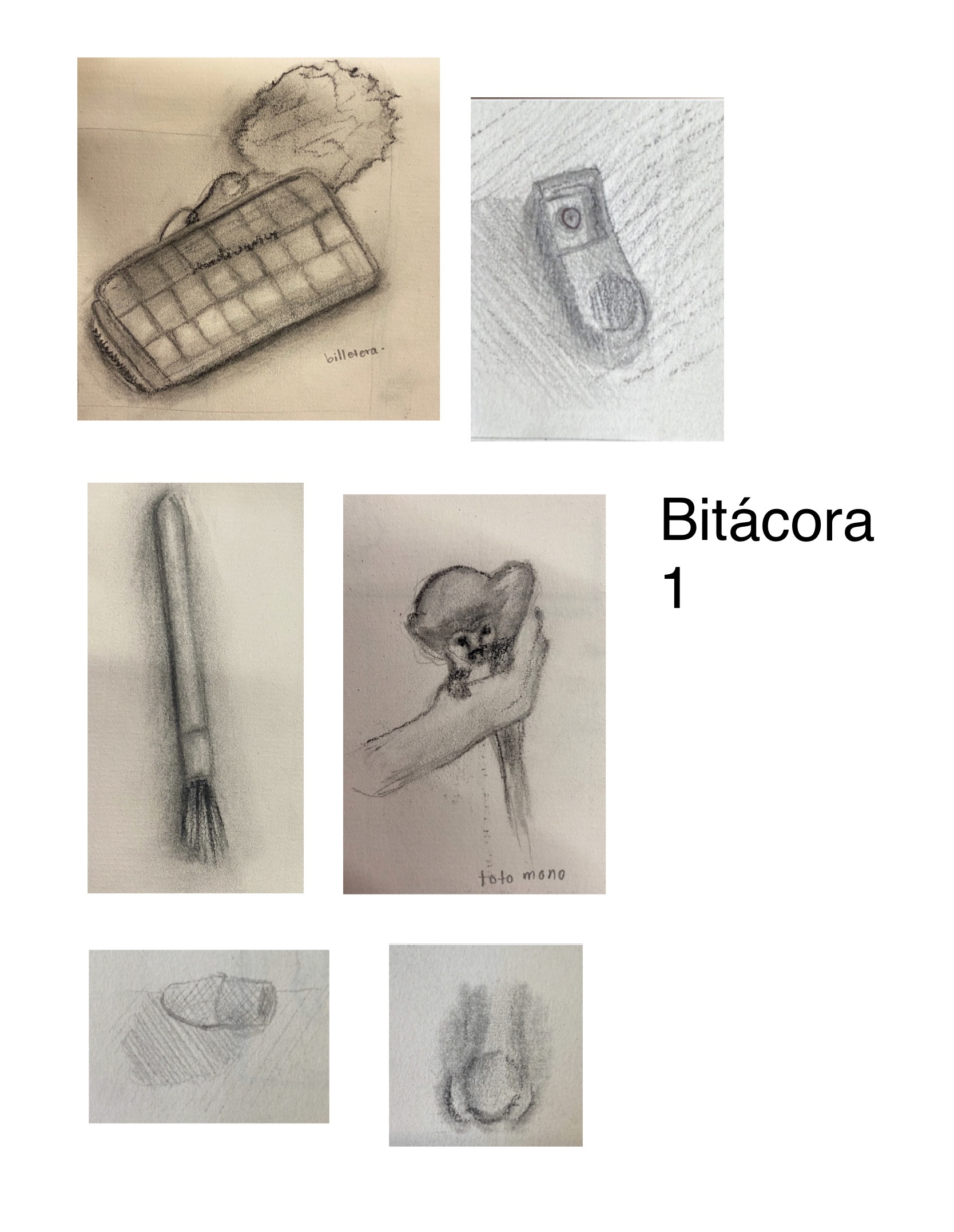 观察绘图丨Jose Rengifo-19