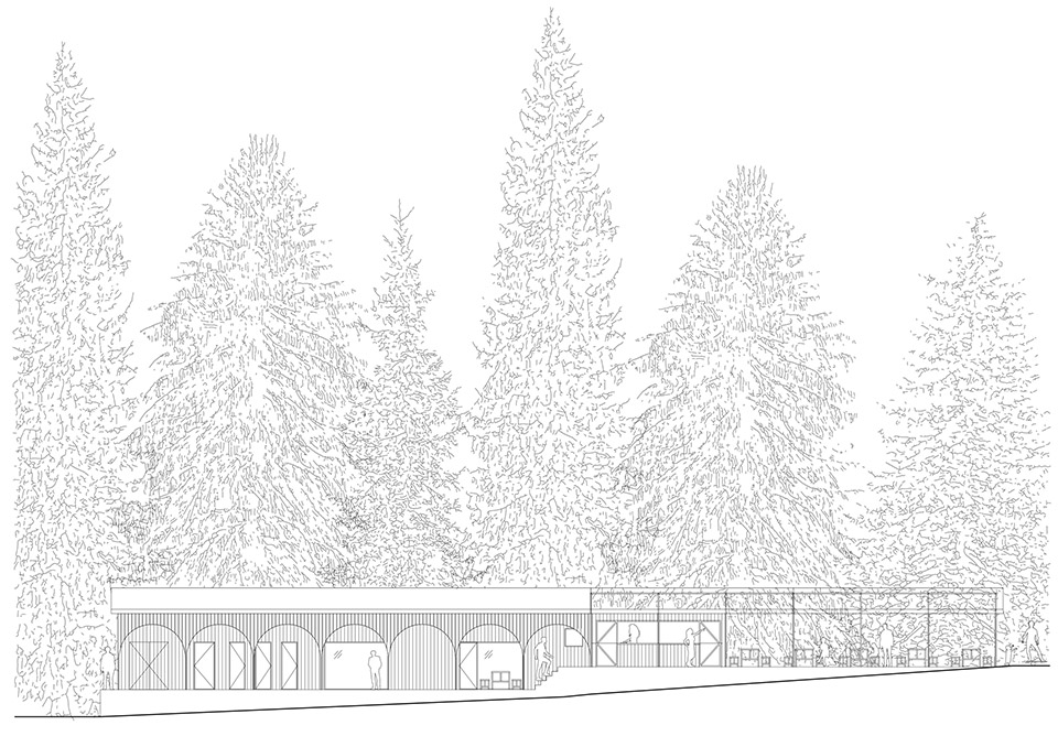 森林泳池,捷克丨Mjölk architekti + Marie Vondráková-60