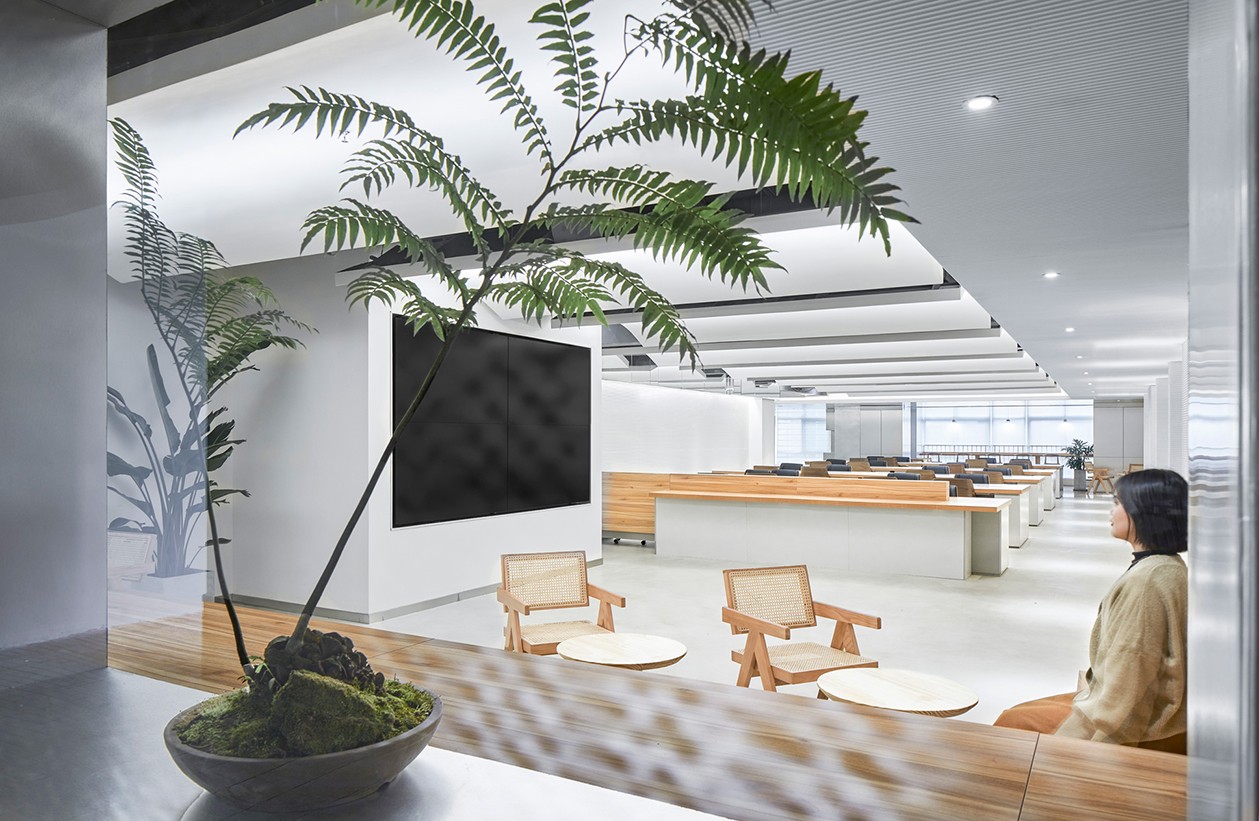 沁集团成都办公室丨中国成都丨多棵设计 Studio DOTCOF-24