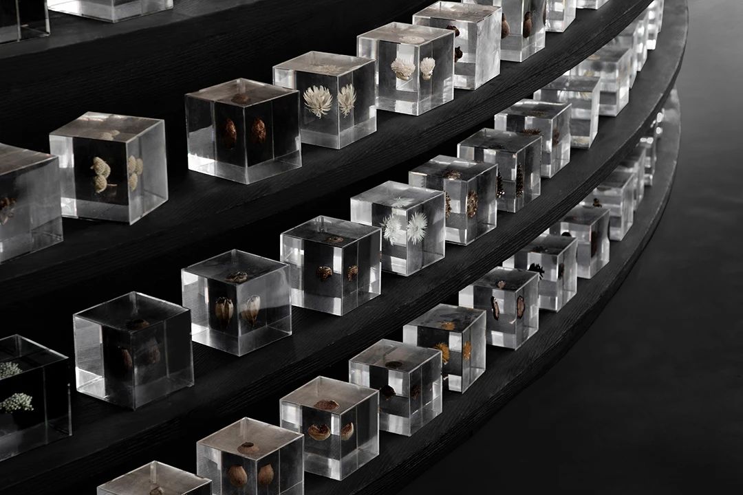 万科公园城市示范区-121