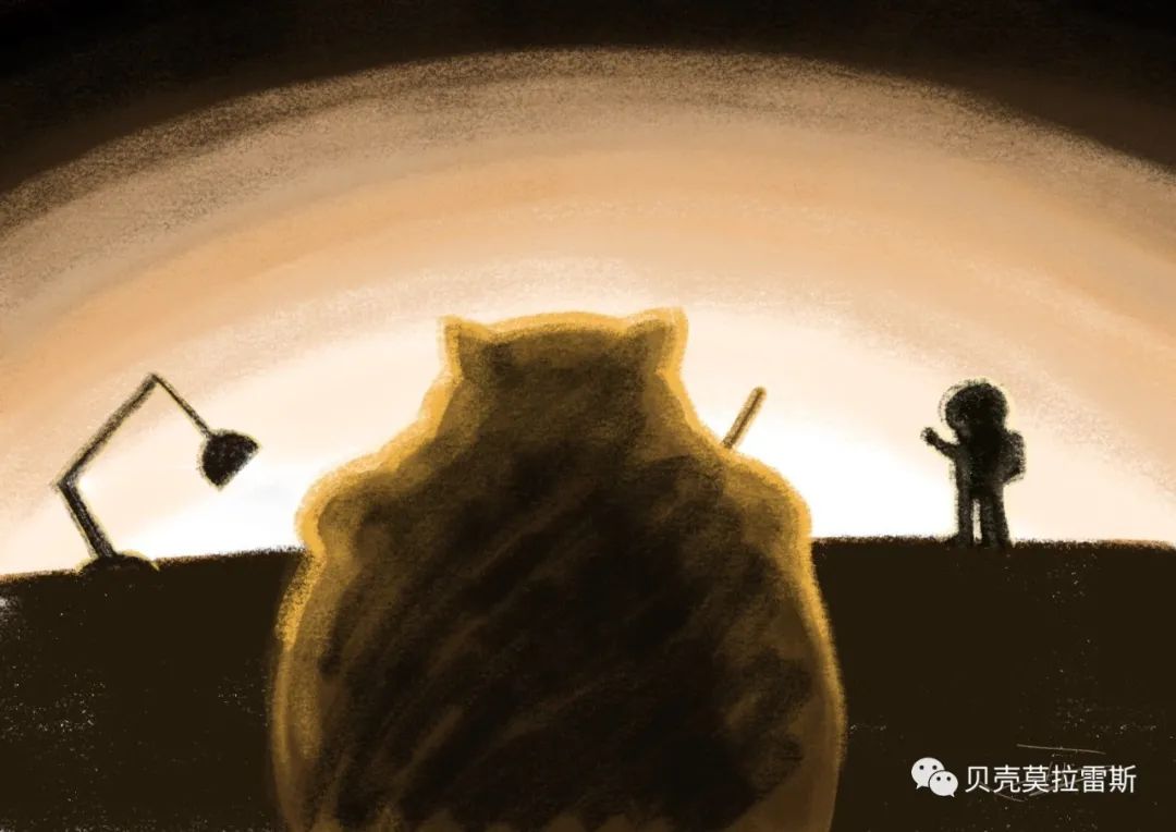 贝壳莫拉雷斯的艺术之作 | 书朗的"Little Wonderland"-2