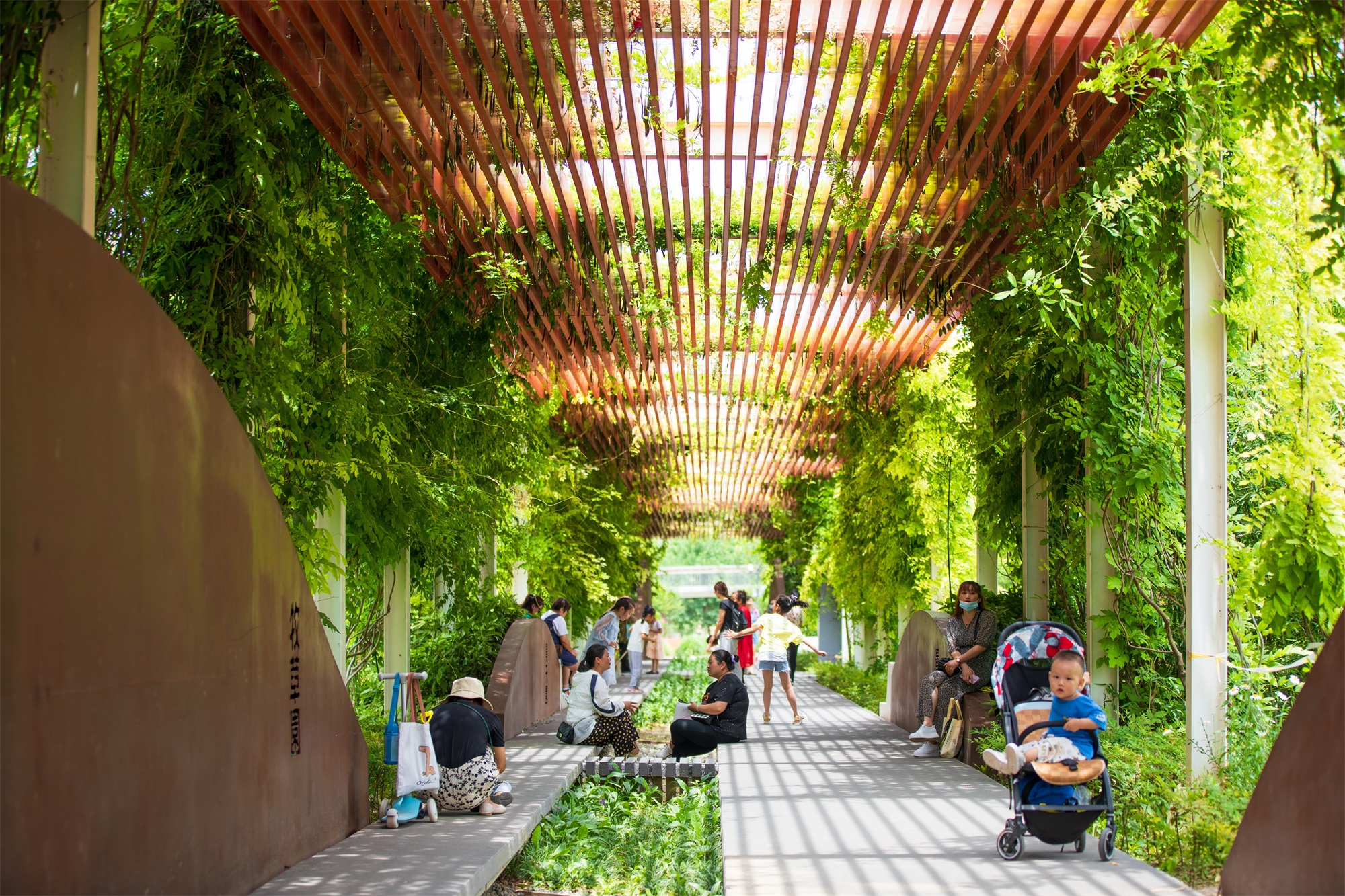 西安雁南公园（二期）丨中国西安丨土人设计（Turenscape）-119