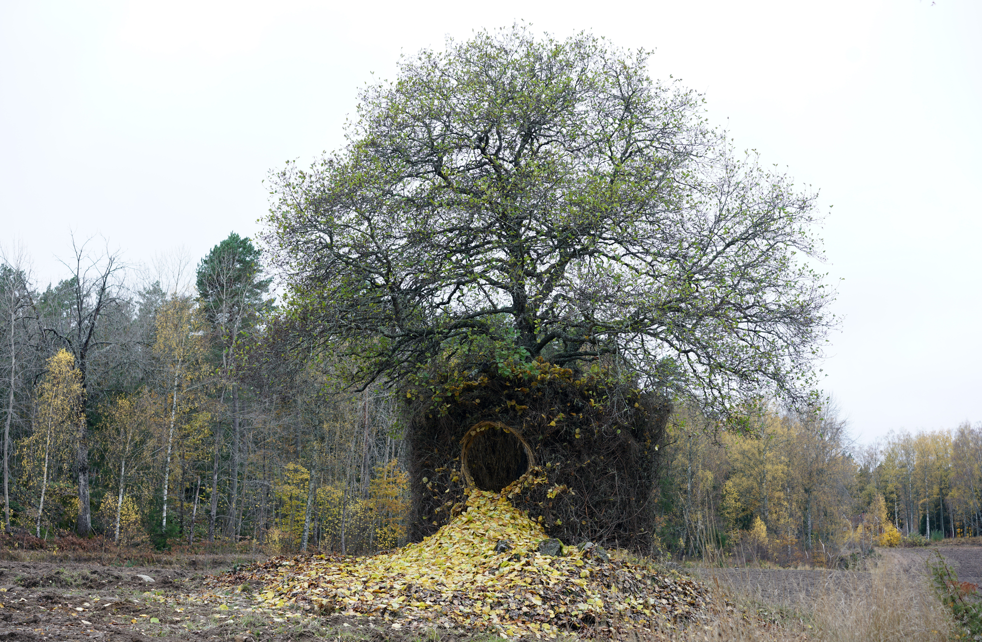 一树四季装置丨瑞典丨Ulf Mejergren + Antti Laitinen-21