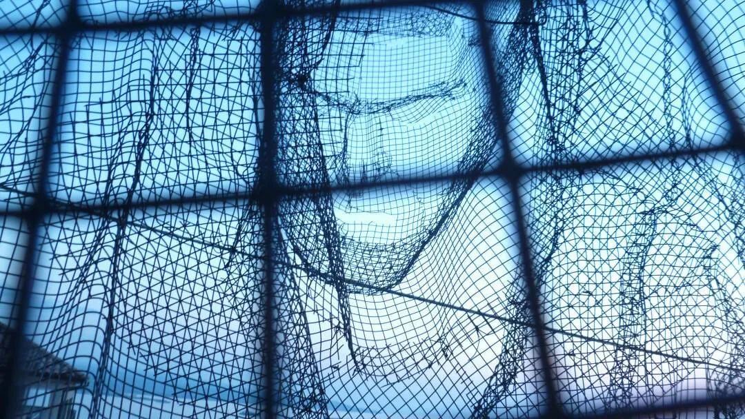 骶骨的;骶部的丨意大利丨Edoardo Tresoldi-143