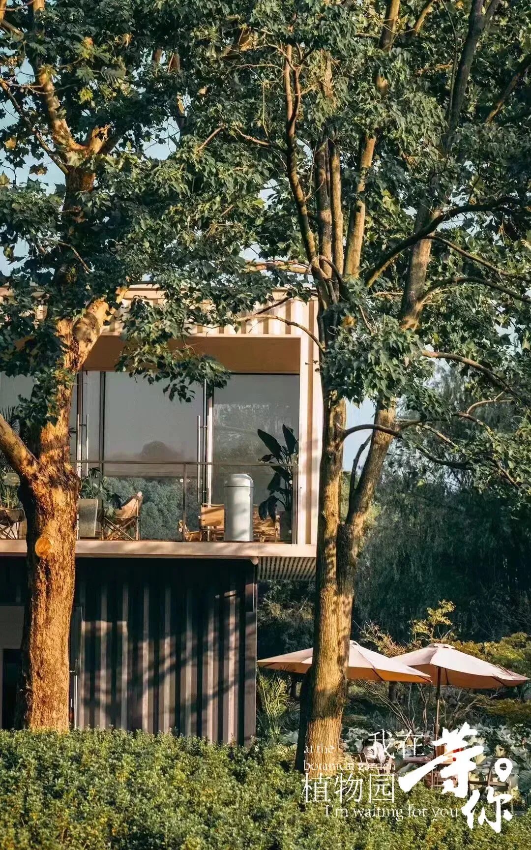 助力长三角生态绿色一体化发展|华建集团现代院原创设计嘉兴中央公园（嘉兴植物园）改造提升项目-14