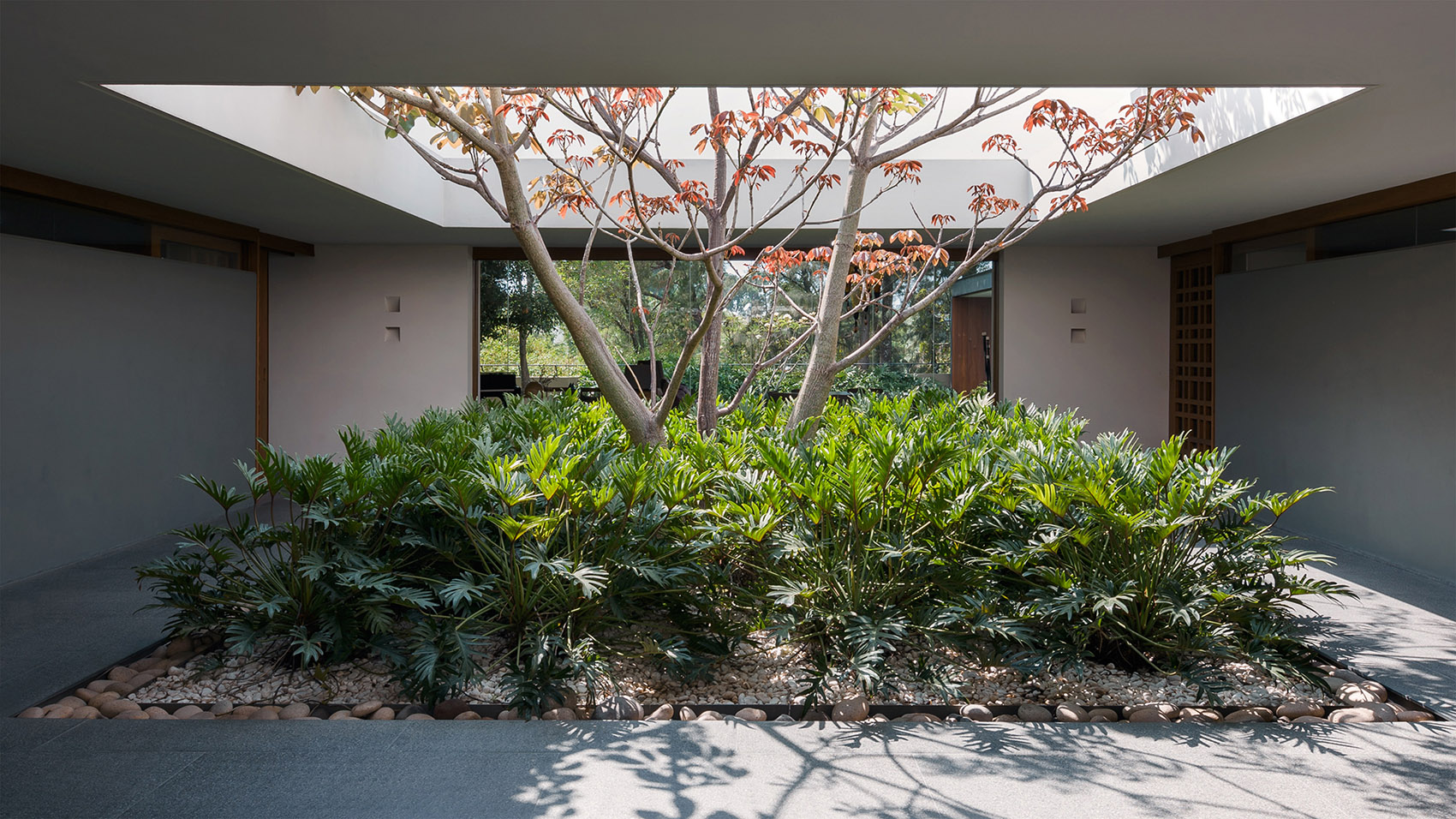 LL328住宅，墨西哥 / CDM-14