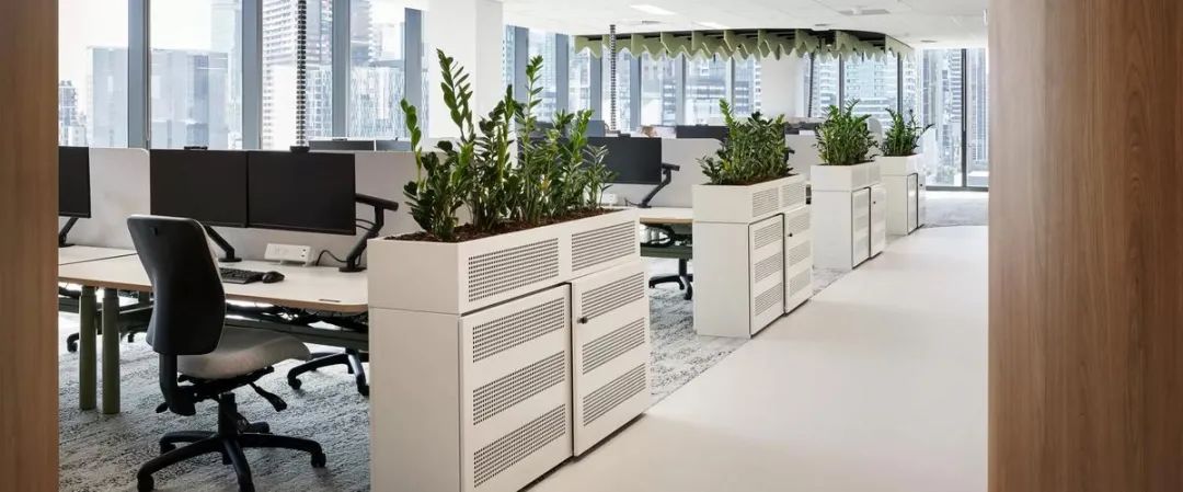 皇家墨尔本医院办公室室内设计丨澳大利亚墨尔本丨Gray Puksand-22