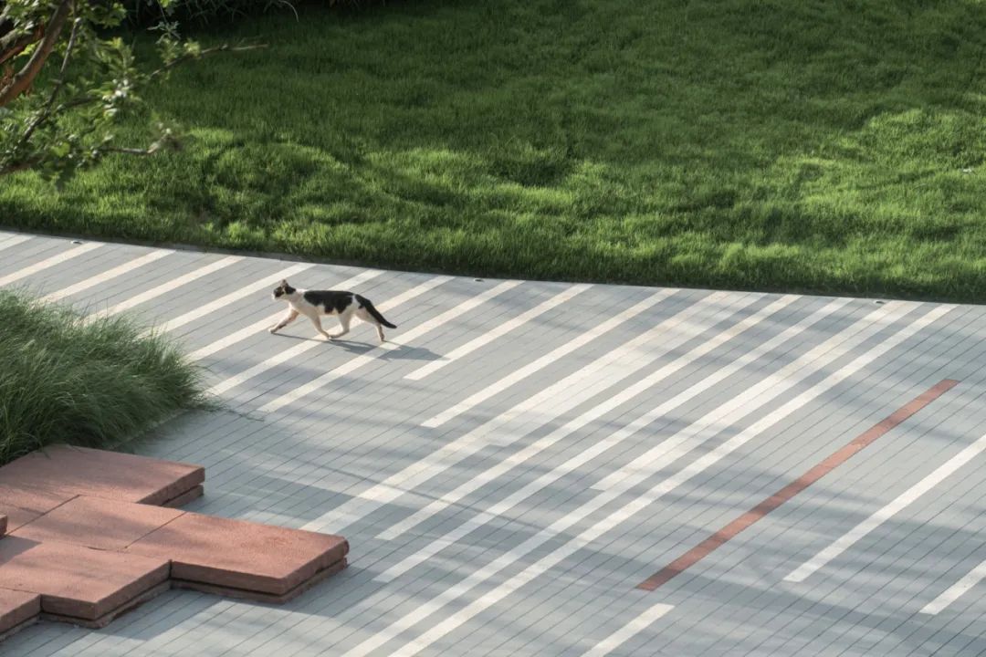 江滩浪潮公园 | 武汉长江天地-3