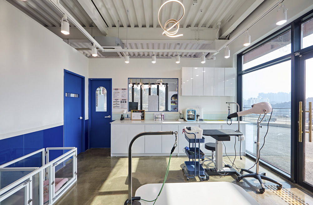 室内装饰的极致展现-2