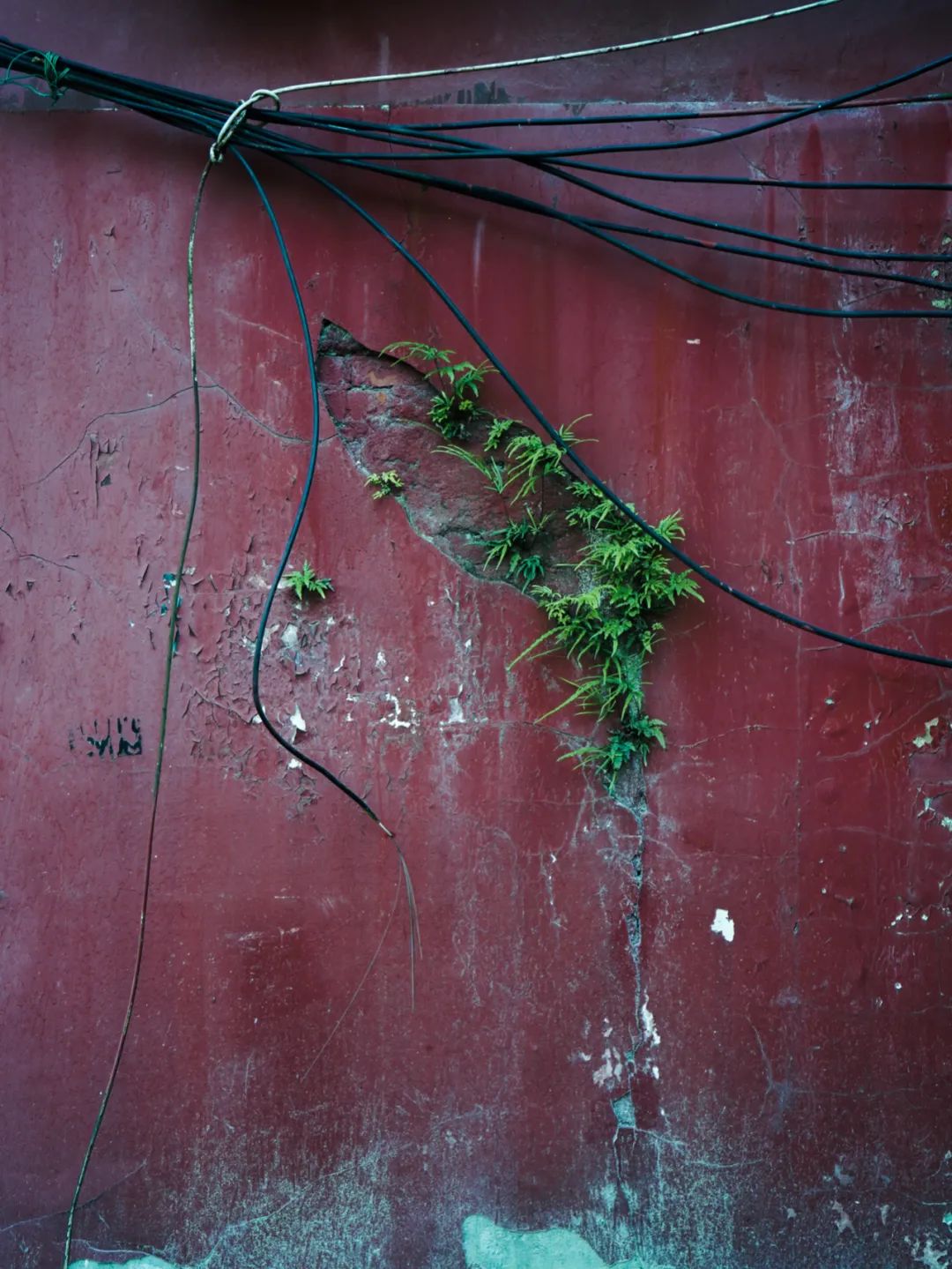 Yang Zhao  VISUAL ARTS-2