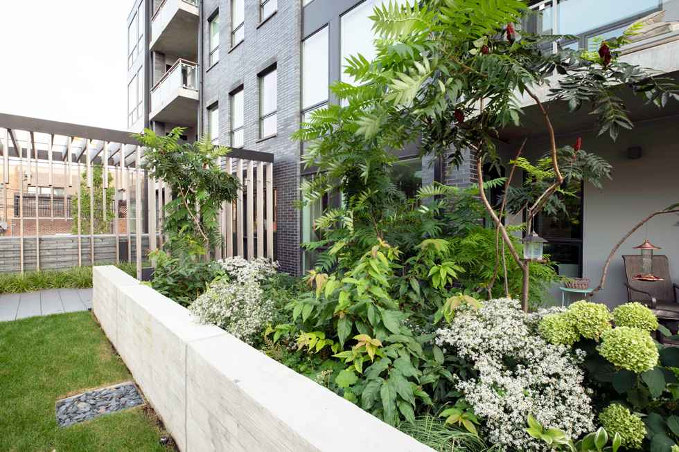 Lincoln Park Residences | Chicago | Norweta Row-21