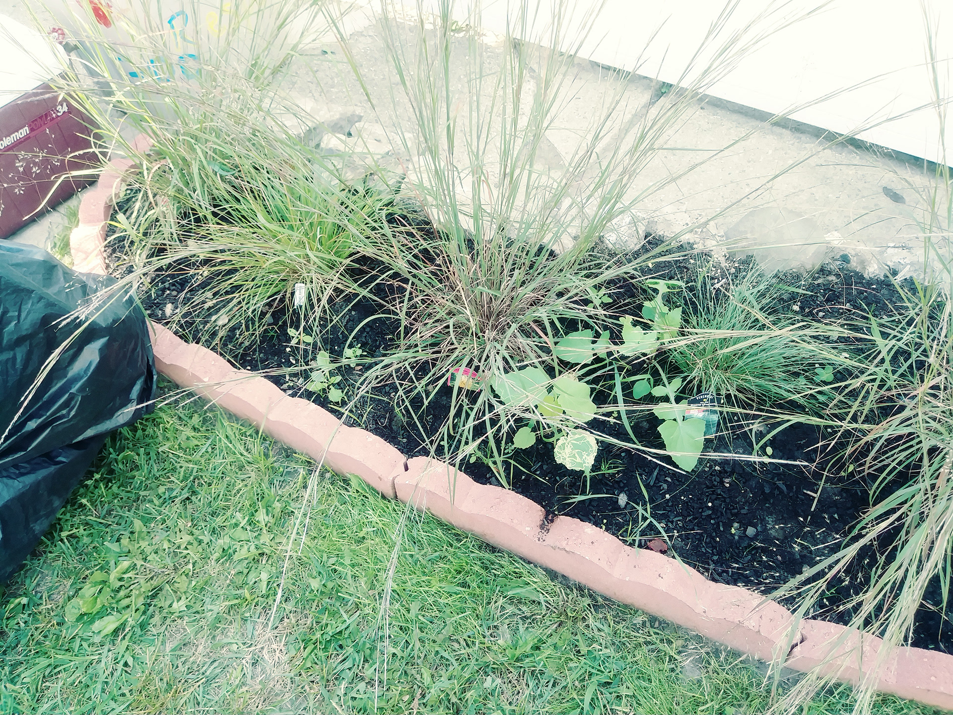 Vacant Lot Design-17