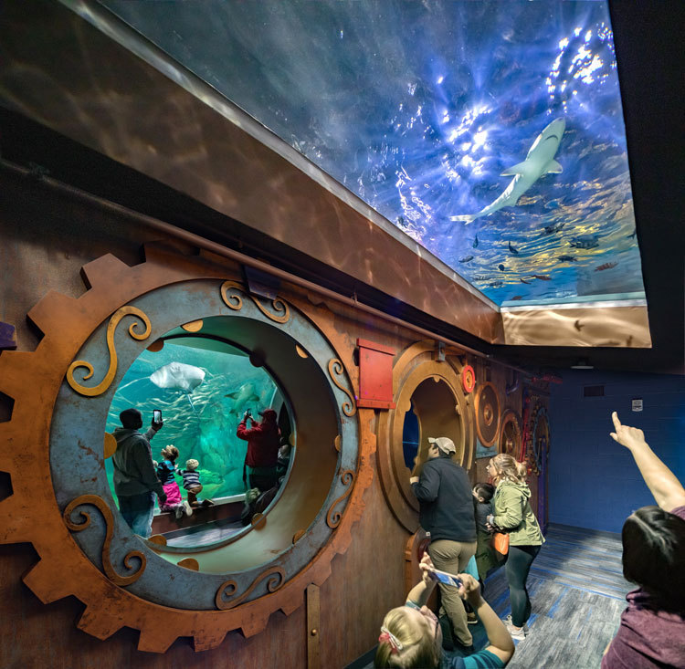 St· Louis Aquarium(圣路易斯水族馆)丨阿根廷圣路易斯-4