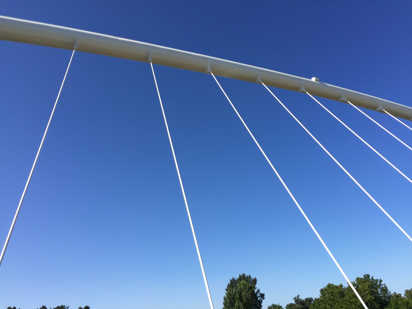 美国彼得·考特尼·明托岛自行车和人行天桥-39