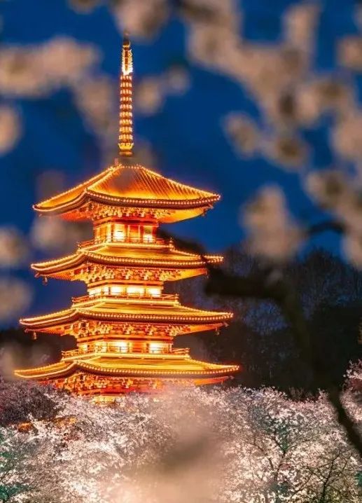 东湖金茂府新示范区丨中国武汉丨SWS Group-16