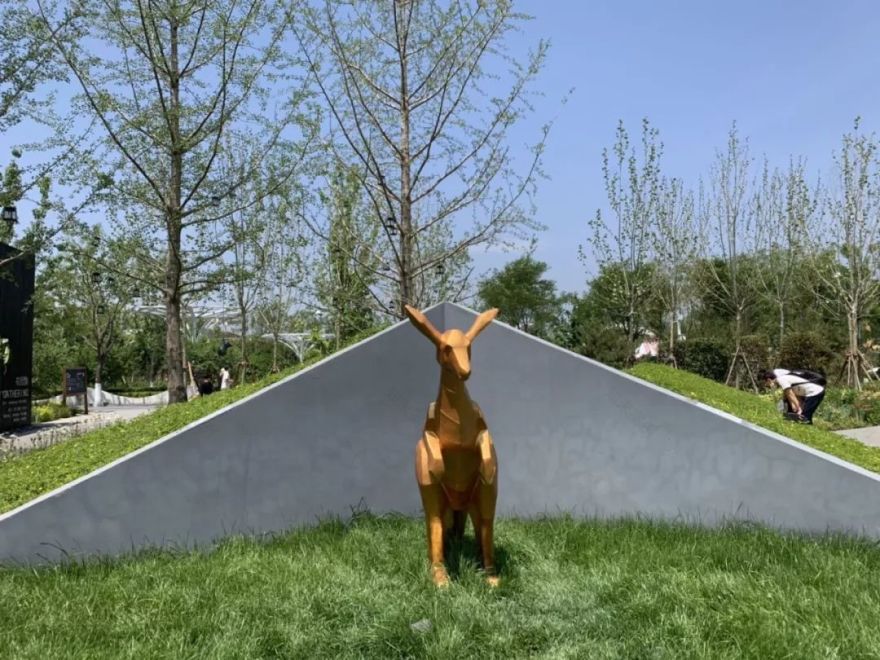 世园会澳大利亚园丨中国北京-2