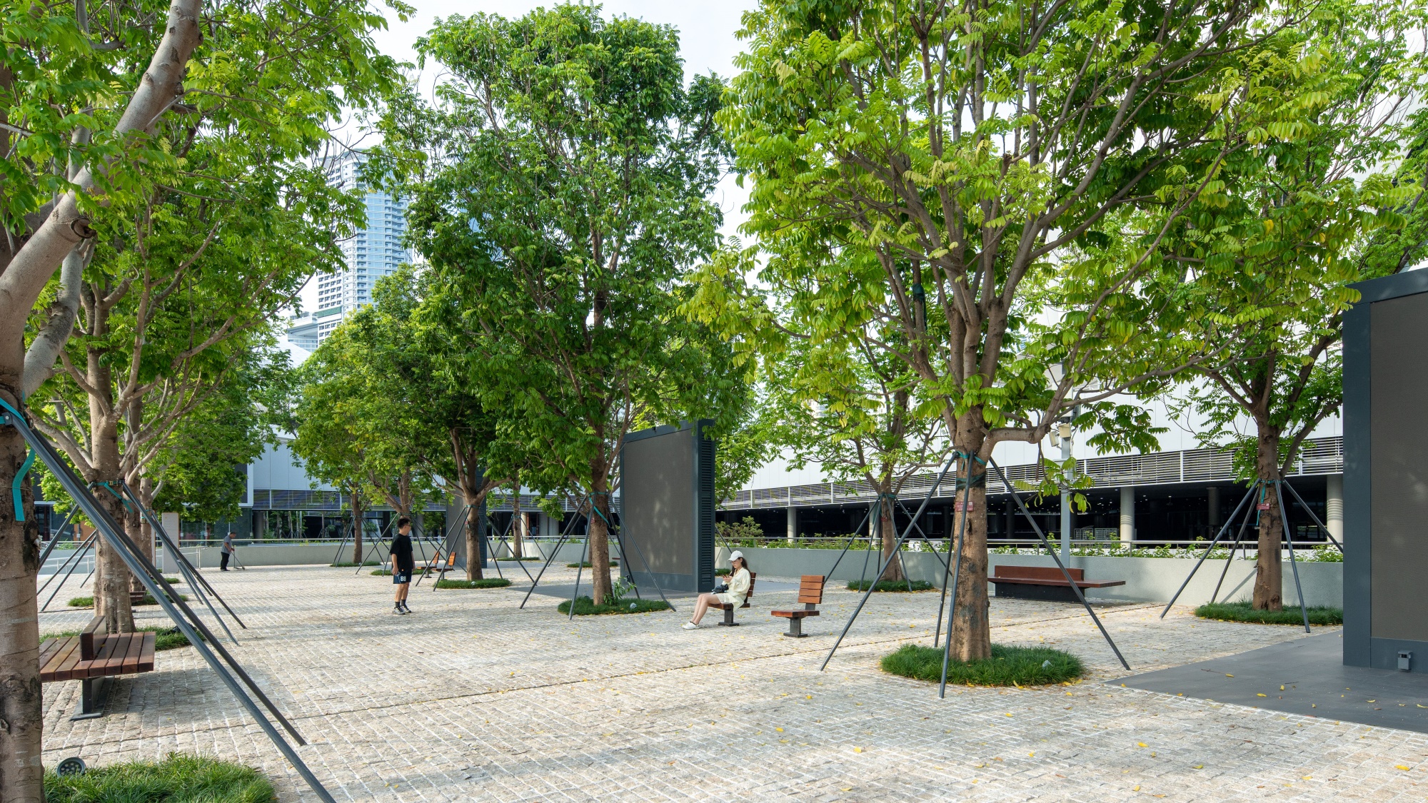 深圳市体育中心丨中国深圳丨LOLA Landscape Architects等-53