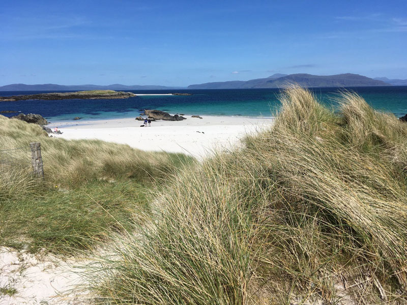 
	Interview with Clare Cooper Marcus | asla.org
-5