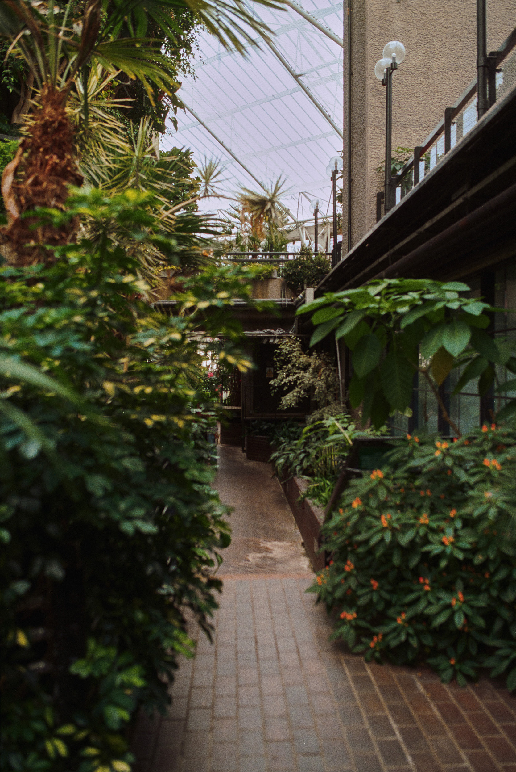 巴比肯温室丨英国伦敦-12