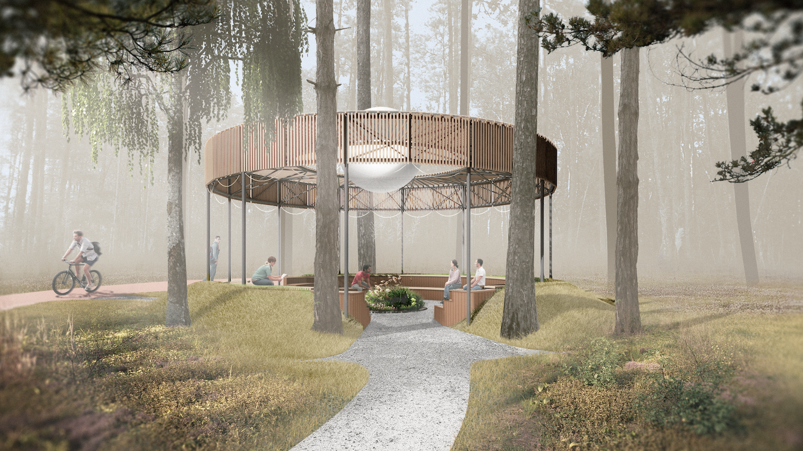 Тимирязевский лес / Forest improvement-3