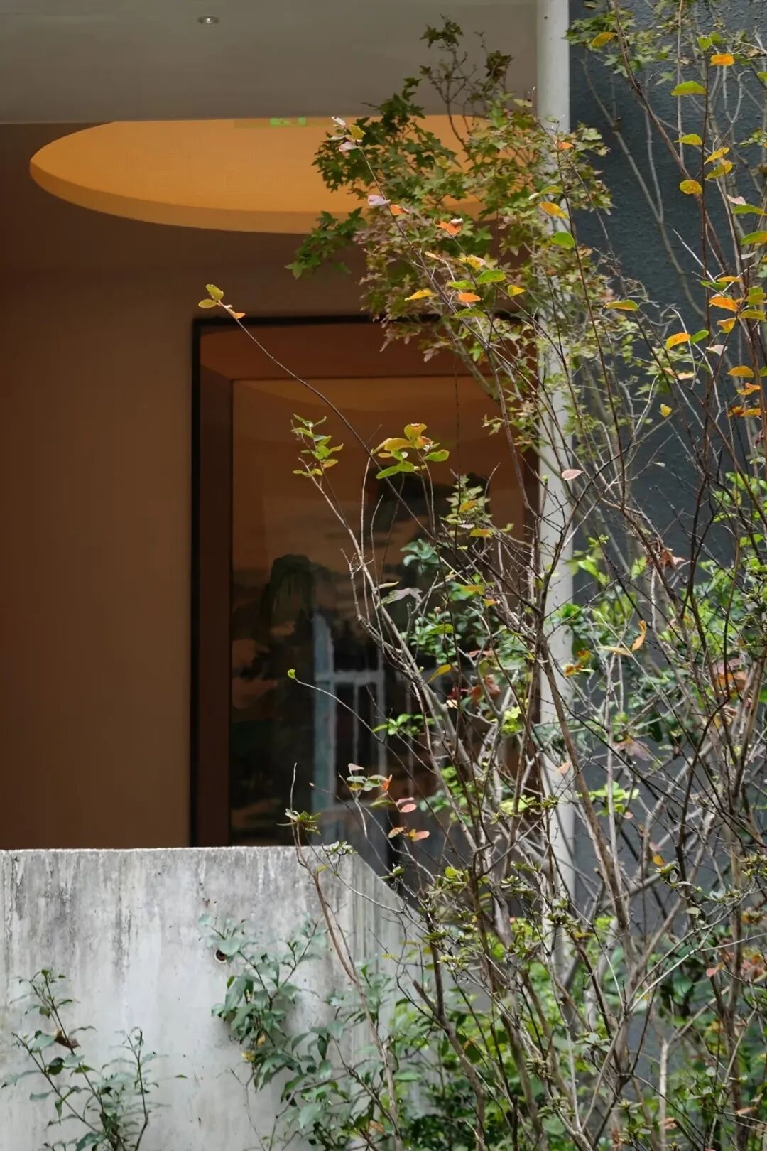 茅台鉴藏馆丨中国深圳丨BLOOMDESIGN绽放设计-14