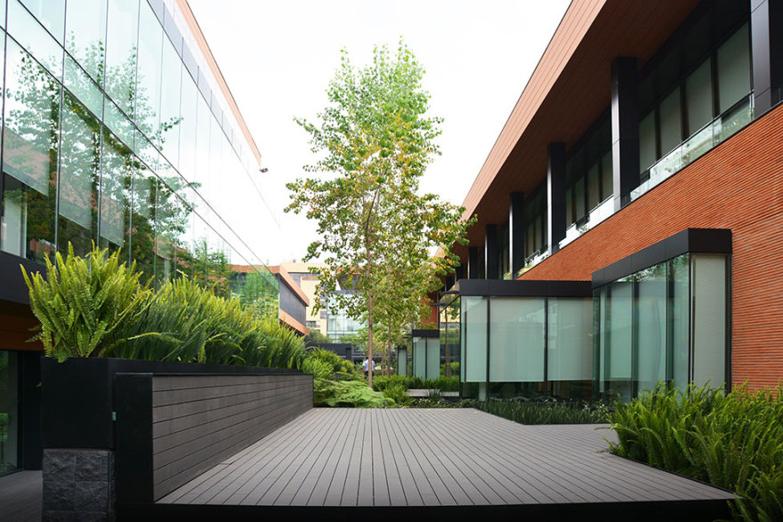 墨西哥城 Coyoacán 企业园区景观设计-40