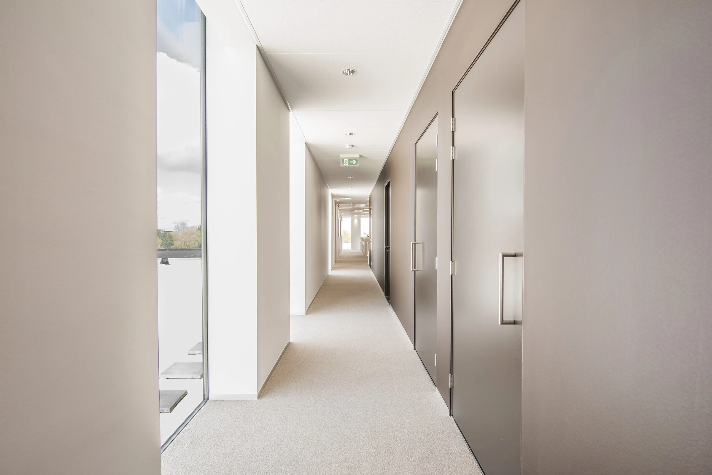 Nedelko 办公室和仓库-19