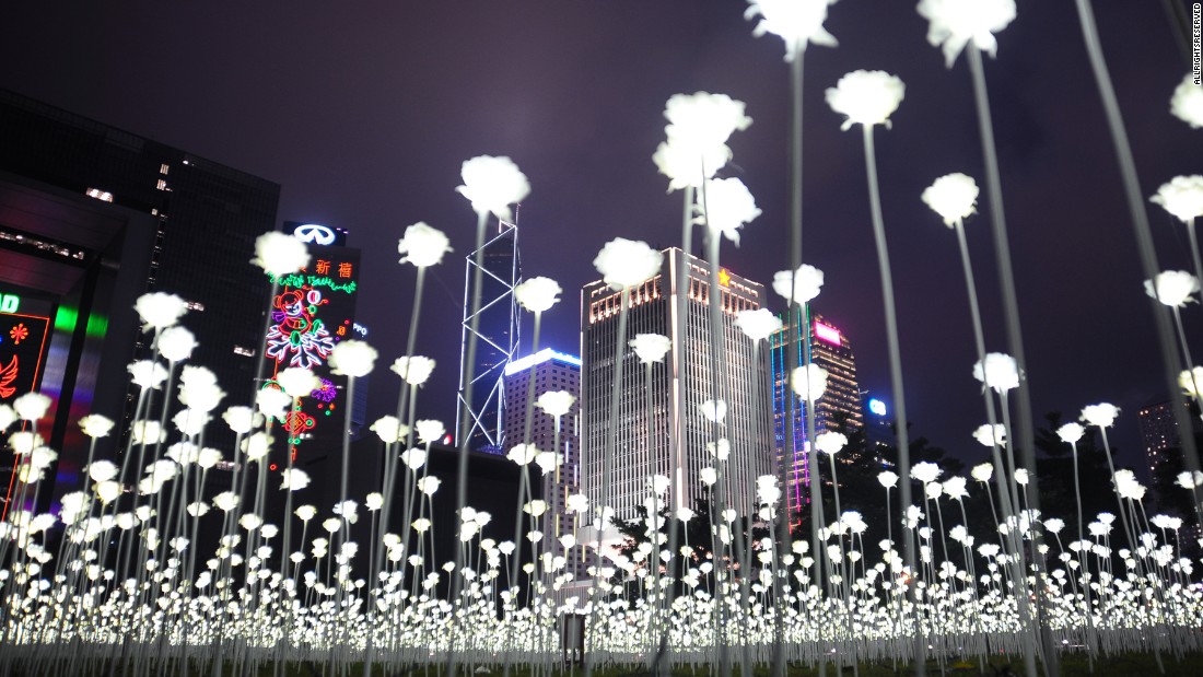 Light Rose Garden HK 玫瑰灯海园 – 香港站-6