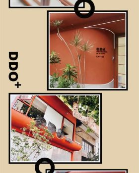 “DDO＋” × “Lian”音乐教育 | 用弦乐迎接这个秋天