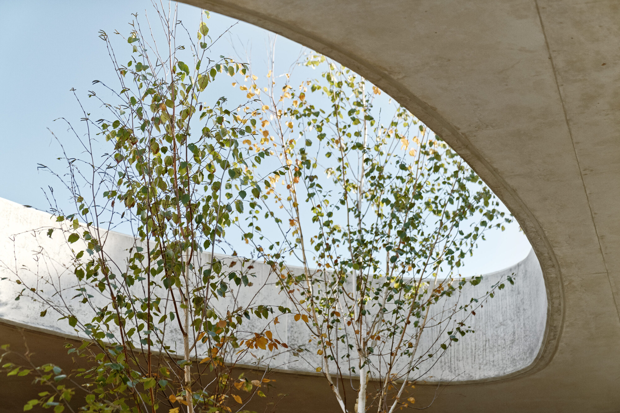 森林混凝土住宅丨波兰波兹南丨PL.Architekci-43