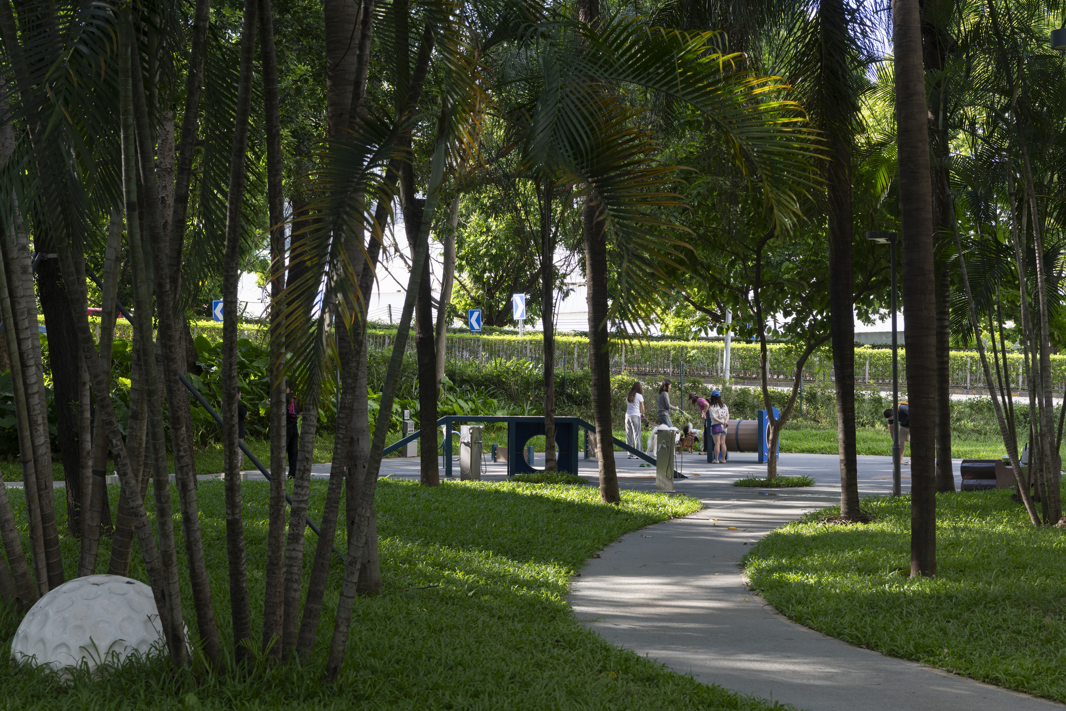 深圳市罗湖泥岗东路宠物友好口袋公园丨中国深圳丨深圳市未名设计顾问有限公司罗湖分公司（WMLA）-20