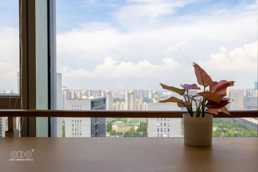 乐信圣文 OCG 职场丨中国成都丨ODO-31