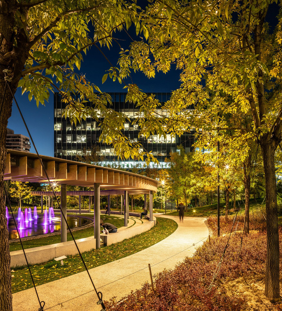 合院中的绿林·利星行中心（北京）景观设计丨中国北京-50