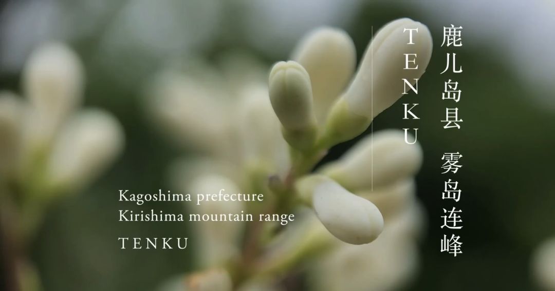 原研哉独家推荐!12 个日本隐秘温泉旅馆设计亮点-65