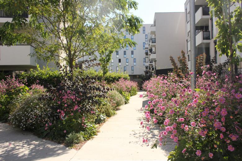 Karin Standler Landschaftsarchitektur丨Wohnpark Csokorgasse丨奥地利-10