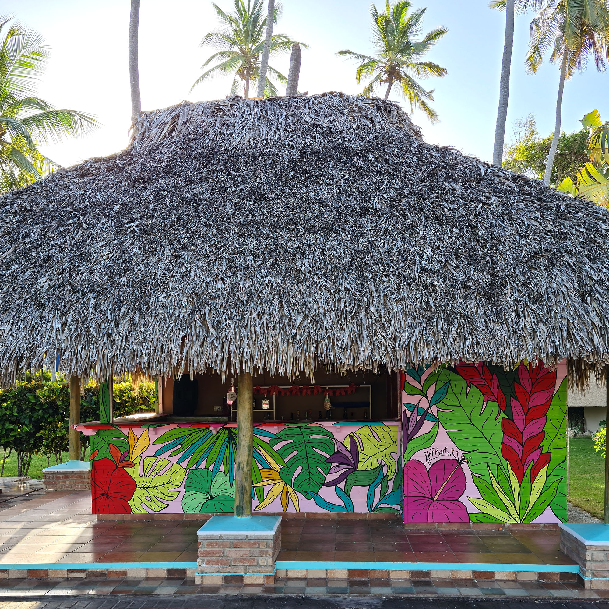 MURAL - Hotel Cortecito INN - PUNTA CANA-0