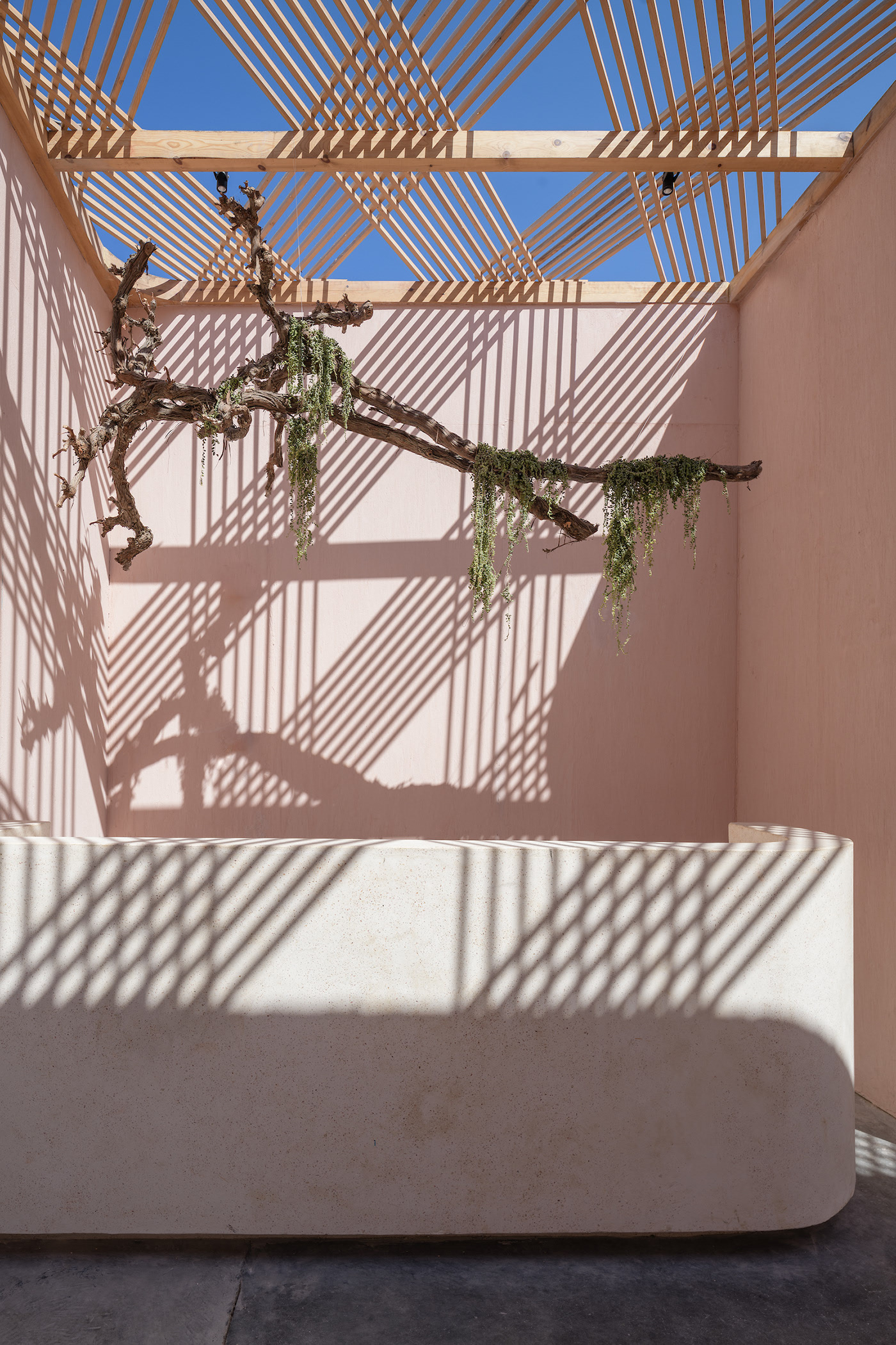 普拉亚餐厅丨埃及丨else lab-17