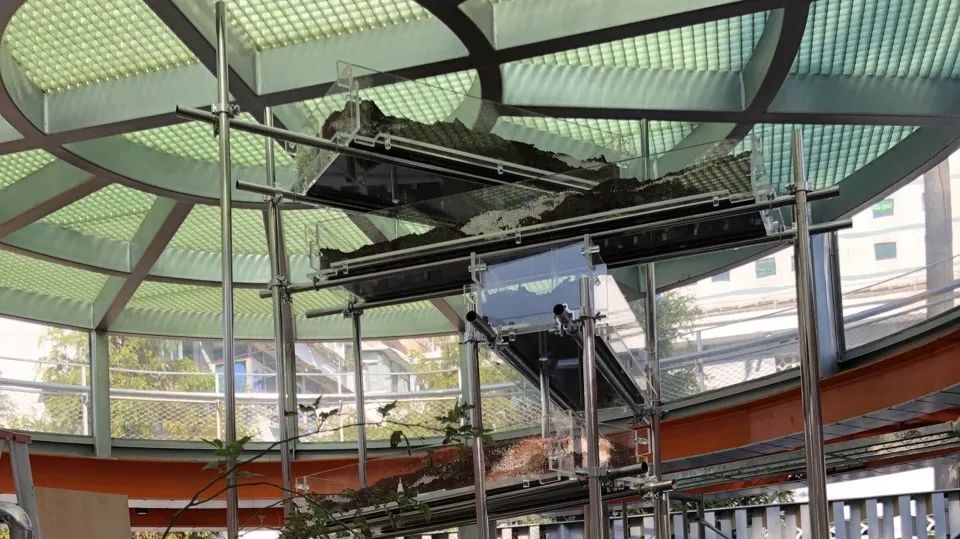 植物公寓 · 客厅里的生态艺术装置丨中国上海丨刘宇扬建筑事务所-39