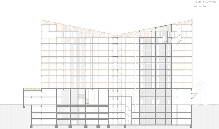 Tamango 项目丨智利丨Tallwood architects-9