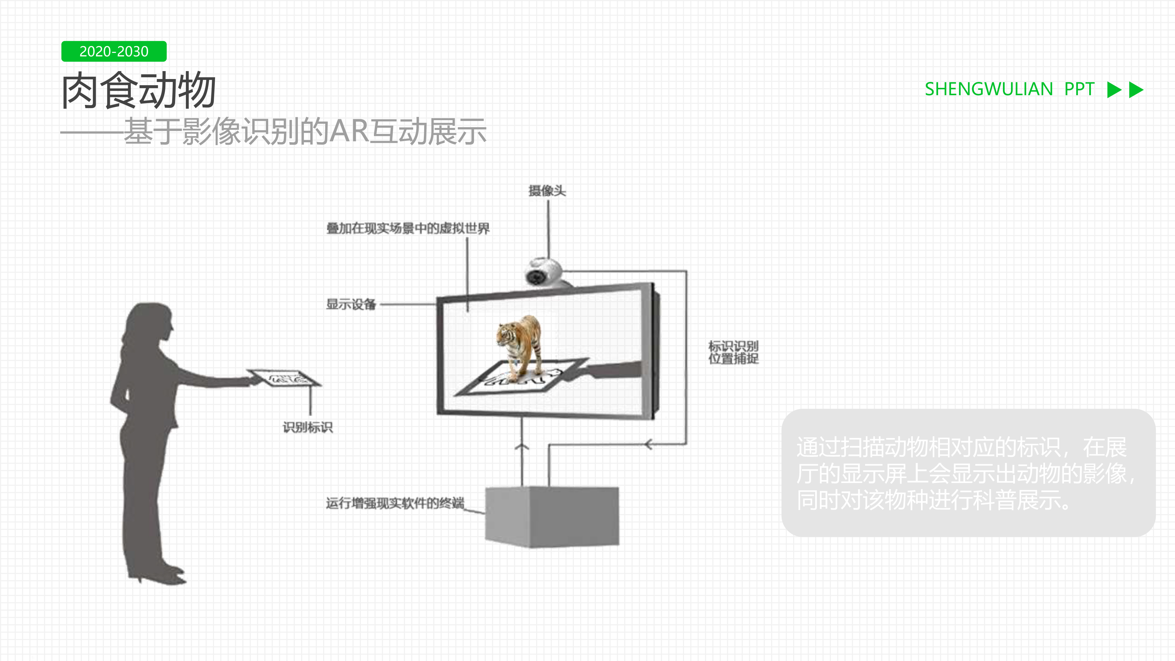 “链”接未来-生物多样性主题展览-26